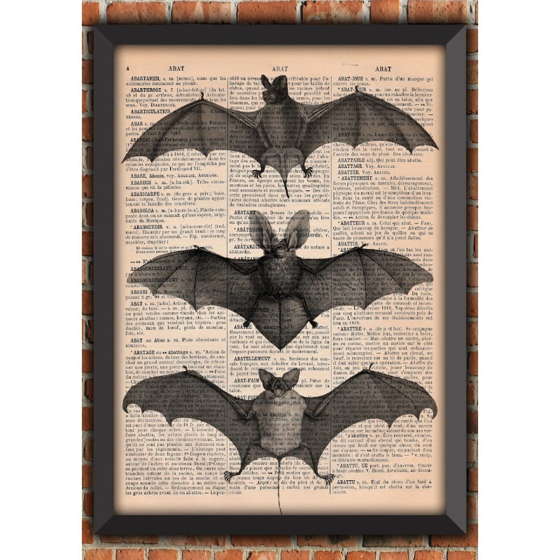 박쥐 해골 어두운 고딕 이상한 무서운 마녀 펑크 할로윈 - Cosplay Bat Prop 리뷰 및 가격